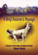A Brief Autumn's Passage