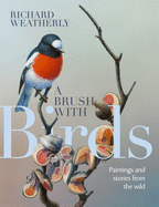 A Brush with Birds: Paintings and Stories from the Wild