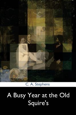 A Busy Year at the Old Squire's - Stephens, Asbury Charles