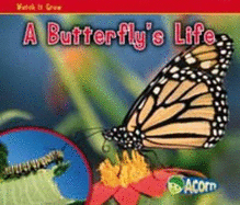 A Butterfly's Life