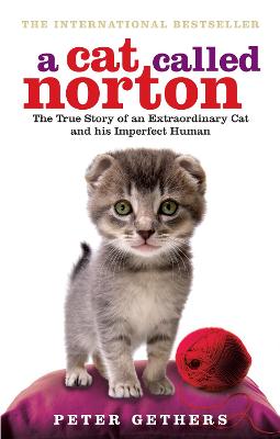 A Cat Called Norton - Gethers, Peter