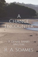 A Chance Encounter: A Denise Banks Mystery