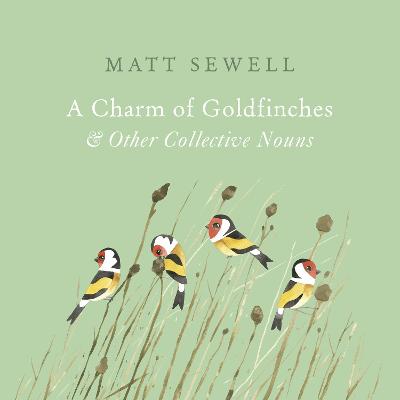 A Charm of Goldfinches and Other Collective Nouns - Sewell, Matt