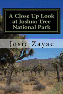 A Close Up Look at Joshua Tree National Park