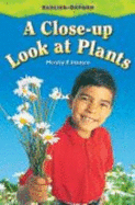 A Close-Up Look at Plants