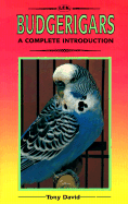 A Complete Guide to Budgerigars