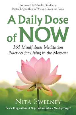 A Daily Dose of Now: 365 Mindfulness Meditation Practices for Living in the Moment - Sweeney, Nita, and Goldberg, Natalie (Foreword by)