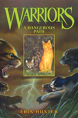 A Dangerous Path - Hunter, Erin