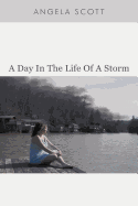 A Day in the Life of a Storm