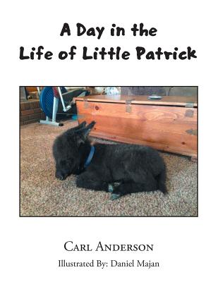 A Day in the Life of Little Patrick - Anderson, Carl