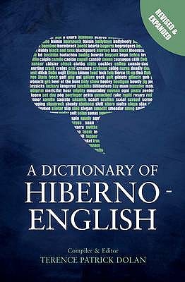 A Dictionary of Hiberno-English - Dolan, Terence Patrick