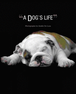 A Dog's Life!