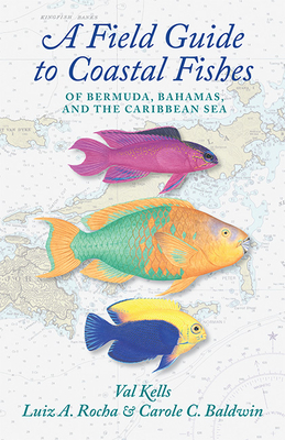A Field Guide to Coastal Fishes of Bermuda, Bahamas, and the Caribbean Sea - Kells, Valerie A, and Rocha, Luiz A, and Baldwin, Carole C