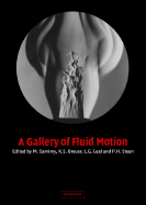 A Gallery of Fluid Motion