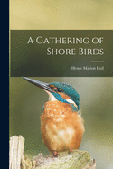 A Gathering of Shore Birds