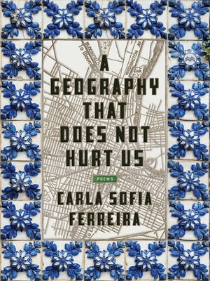 A Geography That Does Not Hurt Us - Ferreira, Carla Sofia