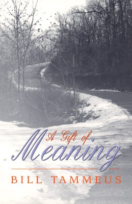 A Gift of Meaning - Tammeus, Bill