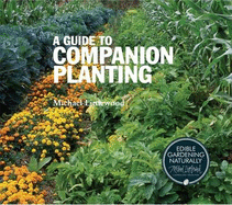 A Guide to Companion Planting