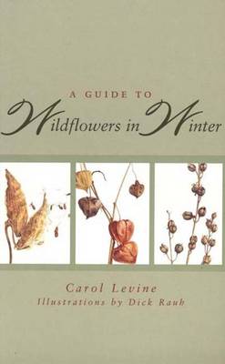 A Guide to Wildflowers in Winter: Herbaceous Plants of Northeastern North America - Levine, Carol, Mrs., and Rauh, Dick (Photographer)