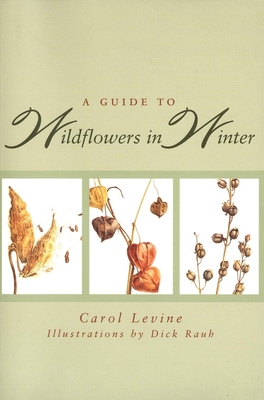 A Guide to Wildflowers in Winter: Herbaceous Plants of Northeastern North America - Levine, Carol, Mrs.