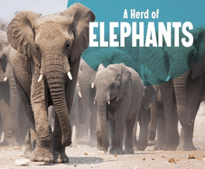 A Herd of Elephants