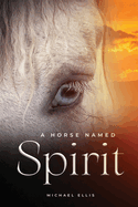 A Horse Named Spirit