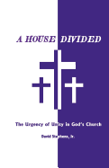 A House Divided: The Urgency of Unity in God's Church