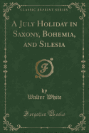 A July Holiday in Saxony, Bohemia, and Silesia (Classic Reprint)