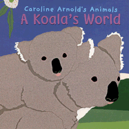 A Koala's World