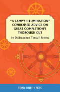 A Lamp's Illumination Condensed Advice on Great Completion's Thorough Cut