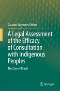 A Legal Assessment of the Efficacy of Consultation with Indigenous Peoples: The Case of Brazil