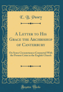 A Letter to His Grace the Archbishop of Canterbury: On Some Circumstances Connected with the Present Crisis in the English Church (Classic Reprint)