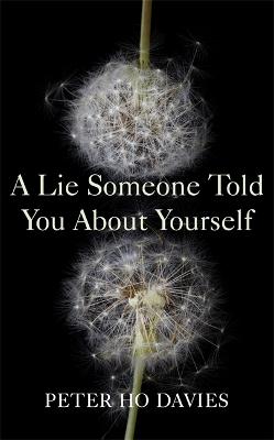 A Lie Someone Told You About Yourself - Davies, Peter Ho