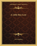 A Little Boy Lost