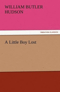 A Little Boy Lost