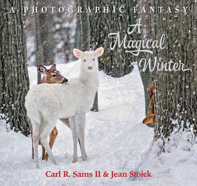 A Magical Winter - Sams, Carl R, and Stoick, Jean