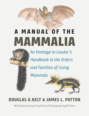 A Manual of the Mammalia: An Homage to Lawlor's "handbook to the Orders and Families of Living Mammals" - Kelt, Douglas A, and Patton, James L