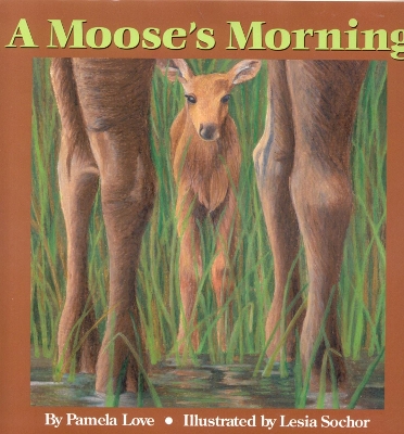 A Moose's Morning - Love, Pamela