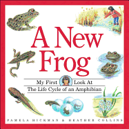 A New Frog