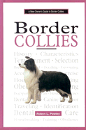 A New Owner's Guide to Border Collies