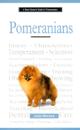 A New Owner's Guide to Pomeranians