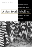 A New South Rebellion: The Battle against Convict Labor in the Tennessee Coalfields, 1871-1896