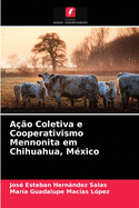 A??o Coletiva e Cooperativismo Mennonita em Chihuahua, M?xico