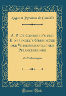 A. P. de Candolle's Und K. Sprengel's Grundzge Der Wissenschaftlichen Pflanzenkunde: Zu Vorlesungen (Classic Reprint)