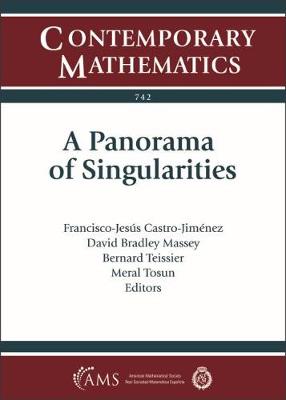 A Panorama of Singularities - Castro-Jimenez, Francisco-Jesus (Editor), and Massey, David Bradley (Editor), and Teissier, Bernard (Editor)