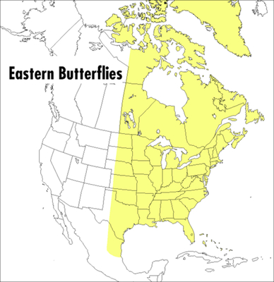 A Peterson Field Guide To Eastern Butterflies - Peterson, Roger Tory