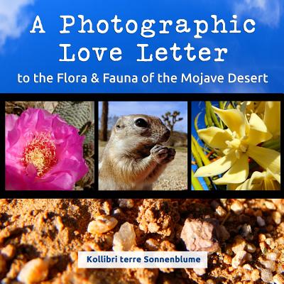 A Photographic Love Letter to the Flora and Fauna of the Mojave Desert - Sonnenblume, Kollibri Terre