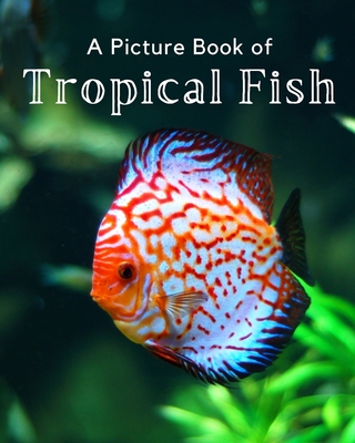 A Picture Book of Tropical Fish: A Beautiful Picture Book for Seniors With Alzheimer's or Dementia. - A Bee's Life Press