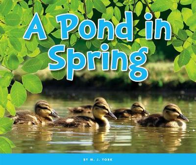 A Pond in Spring - York, M J