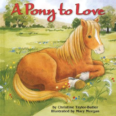 A Pony to Love - Taylor-Butler, Christine